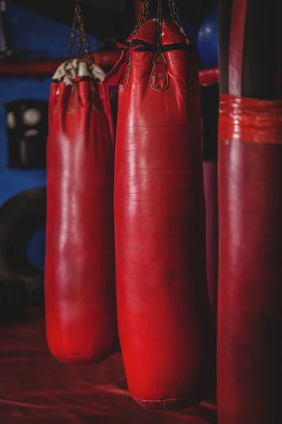 Sacos de boxeo colgando —  Fotos de Stock