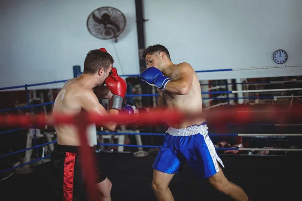 Boxeadores luchando en el ring de boxeo — Foto de Stock