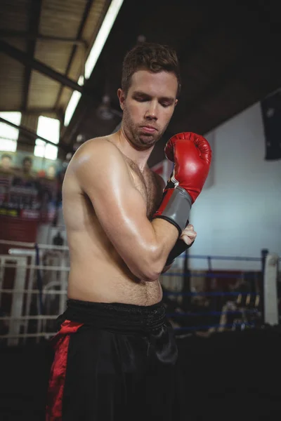 Боксер в боксёрских перчатках — стоковое фото