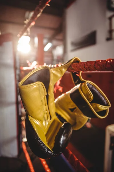 Luvas de boxe penduradas no ringue de boxe — Fotografia de Stock