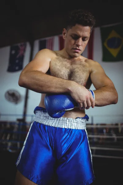 Boxer usando luvas de boxe — Fotografia de Stock