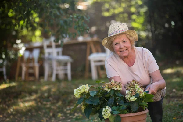 庭で鉢植えを運ぶ年配の女性 — ストック写真