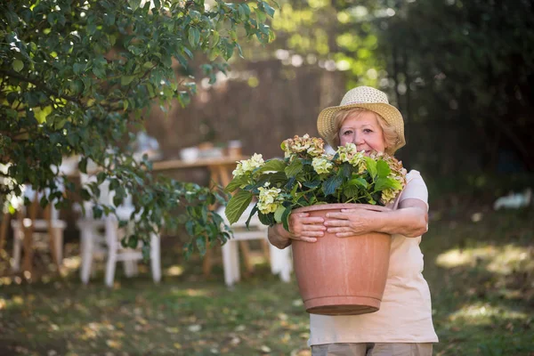 高级携带的盆栽植物在花园里的女人 — 图库照片