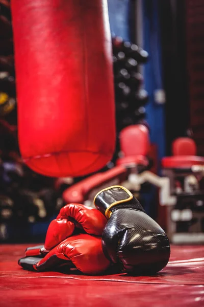 Boxing gloves and punching bag — Stock Photo, Image