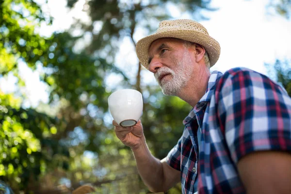 Homme âgé prenant un café dans le jardin — Photo