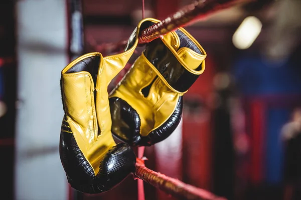 Boxing gloves hanging off the boxing ring — Stock Photo, Image