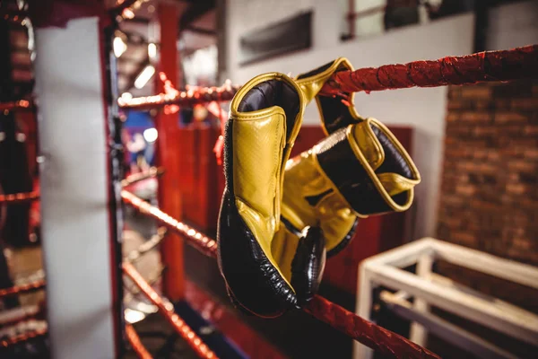 Luvas de boxe penduradas no ringue de boxe — Fotografia de Stock