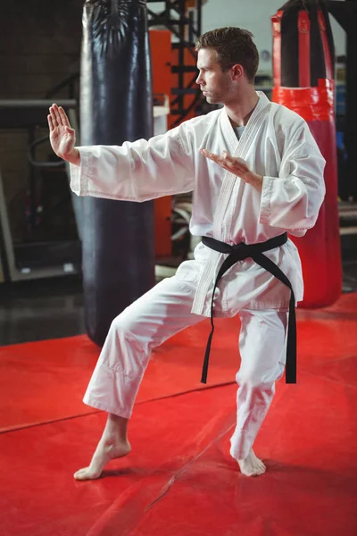 Karate pelaaja suorittaa karate asento — kuvapankkivalokuva