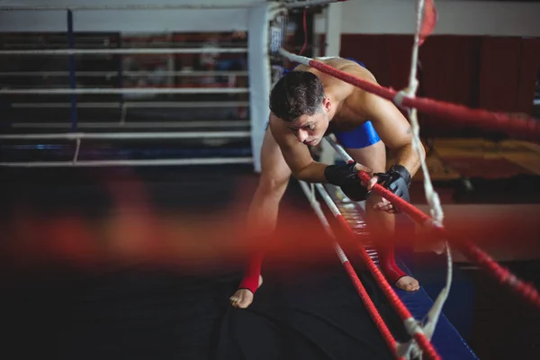 Boxer steigt in Boxring ein — Stockfoto