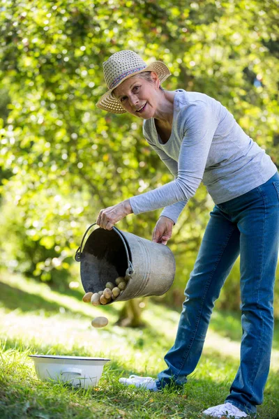 Mulher sênior colocando batatas na tigela de balde — Fotografia de Stock