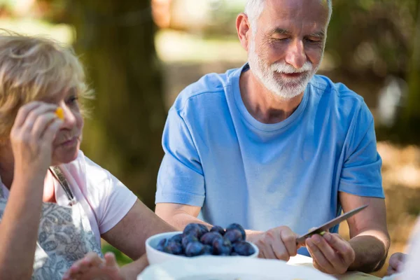 Seniorenpaare entfernen Samen von Aprikosenfrüchten — Stockfoto