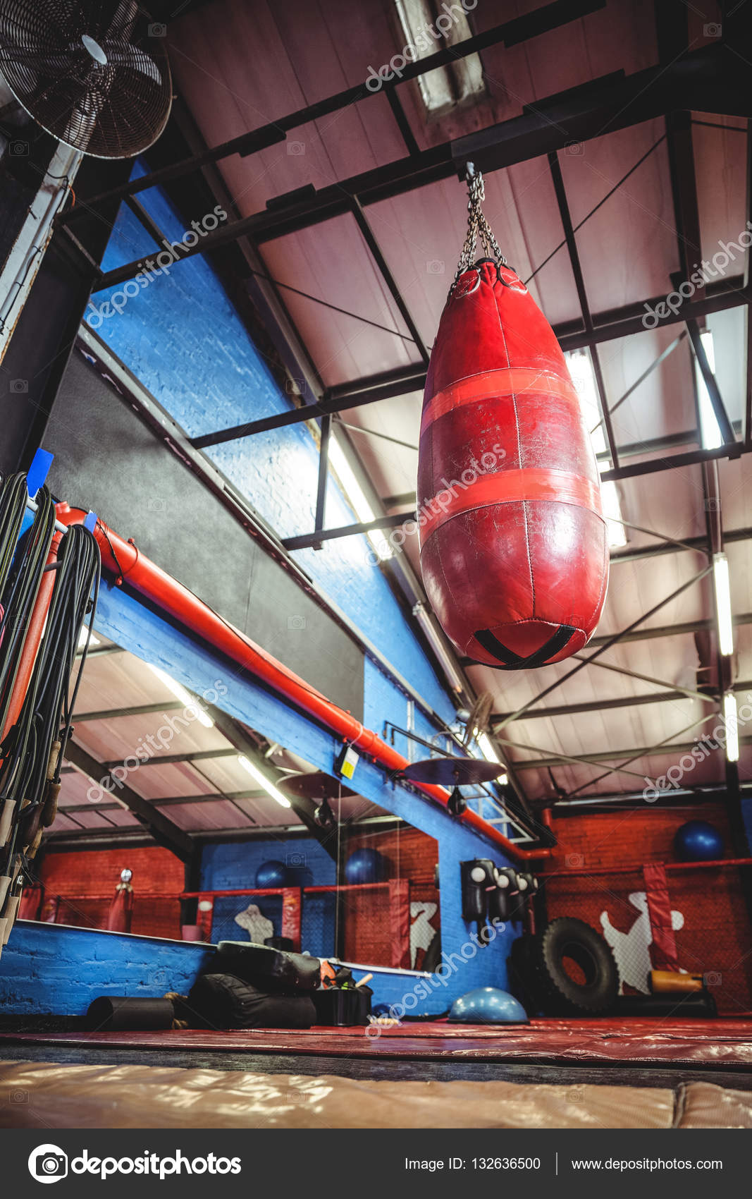 Punching Bag Hanging From Ceiling Stock Photo Wavebreaka Punching Bag Hanging From Ceiling Stock Photo