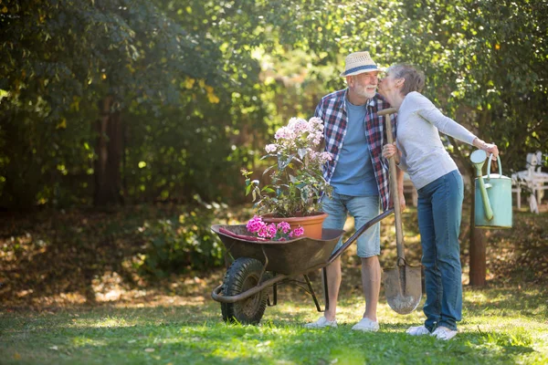 シニアのカップルが庭でキス — ストック写真