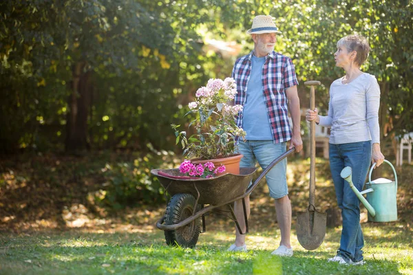Seniorenpaar gärtnert im Garten — Stockfoto