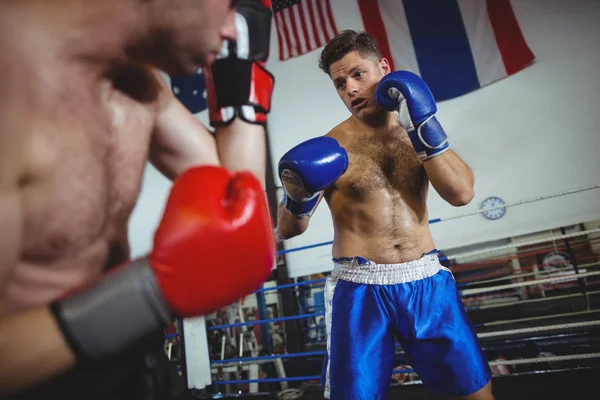 Boxeadores luchando en el ring de boxeo — Foto de Stock