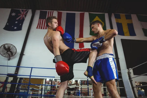 Boxers fighting in boxing ring — Stock Photo, Image