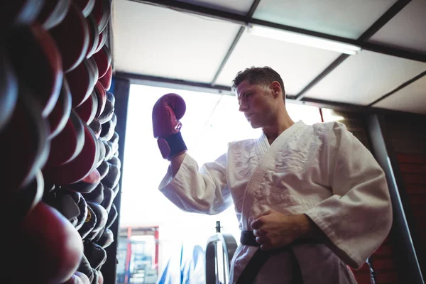 Kick boxer wearing gloves — Stock Photo, Image