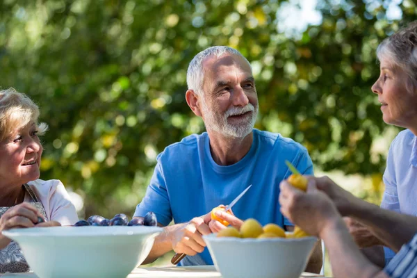 Äldre par att ta bort frön av aprikos frukter — Stockfoto