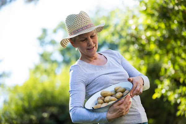 Senior vrouw met aardappelen in een kom — Stockfoto