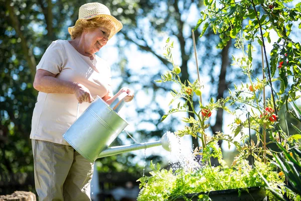 年配の女性をじょうろで植物に水をまく — ストック写真