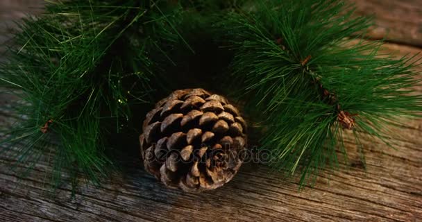 Cone de pinheiro e abeto na prancha de madeira — Vídeo de Stock