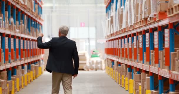 Male warehouse manager checking stock — Stock Video