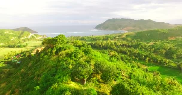 Красивий зелений пейзаж і море — стокове відео