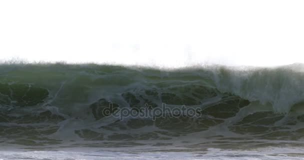 Vista de las olas en la orilla del mar — Vídeos de Stock