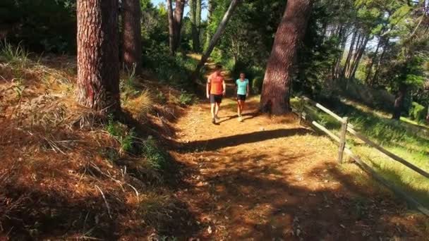 Pareja trotando en el camino del bosque — Vídeos de Stock