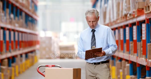 Hombre almacén trabajador control de stock — Vídeo de stock