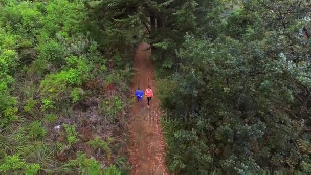 Par jogging på skogsstigen — Stockvideo