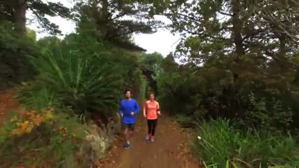 在林间小径走上慢跑的夫妇 — 图库视频影像