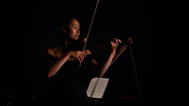 拉小提琴的女人 — 图库视频影像