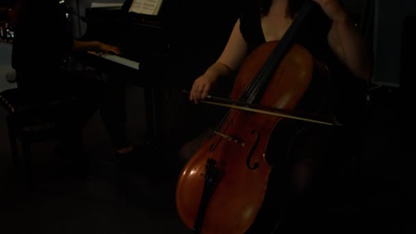 Mujeres tocando un violín y un piano — Vídeo de stock