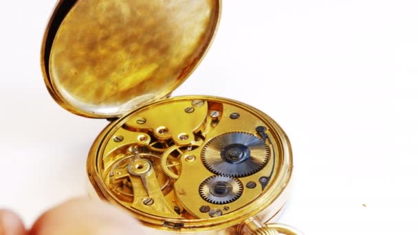 Horologista reparar um relógio de bolso — Vídeo de Stock