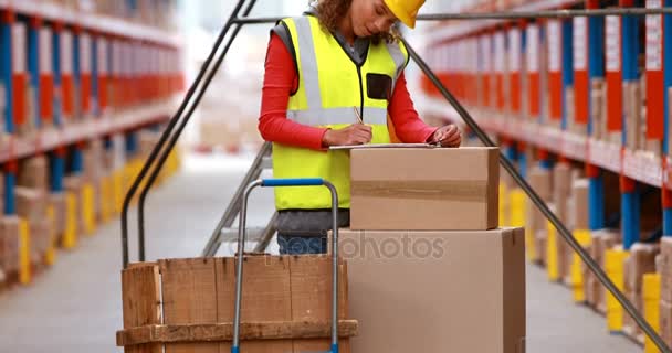 Vrouwelijke magazijnmedewerker voorraad controleren — Stockvideo
