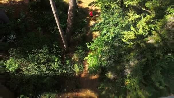 Uomo che fa jogging sul sentiero della foresta — Video Stock