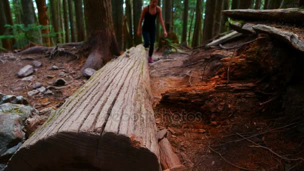 Caminante femenina caminando sobre un árbol caído — Vídeo de stock