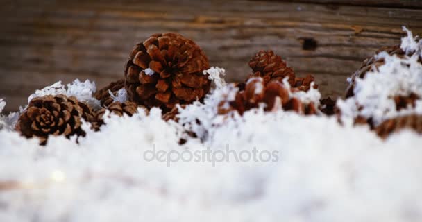 Decoração de cones de pinheiro em neve falsa — Vídeo de Stock