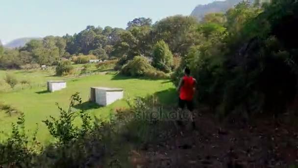 Homem correndo no caminho da floresta — Vídeo de Stock