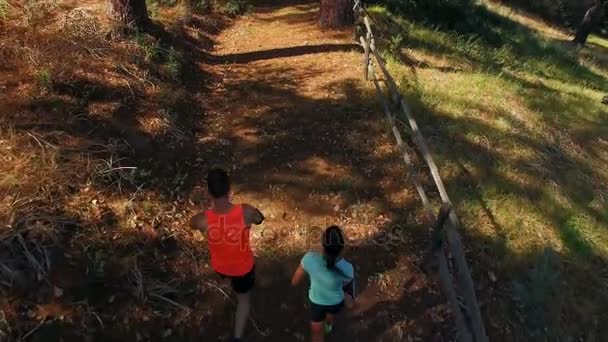 Par jogging på skogsstigen — Stockvideo