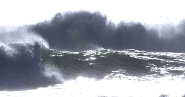 Blick auf Wellen an der Küste — Stockvideo