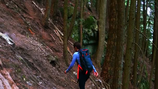 Caminhante casal caminhadas na floresta — Vídeo de Stock