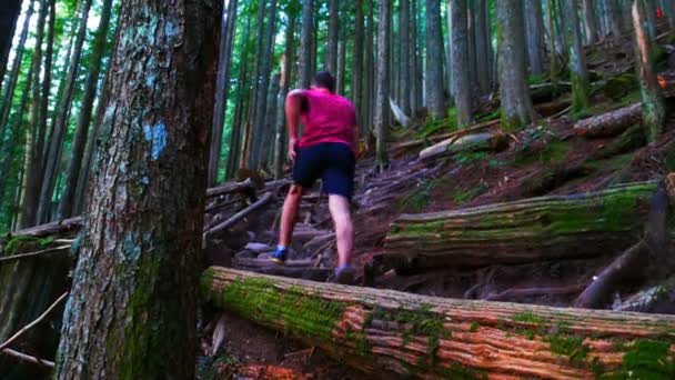 Caminhante casal caminhadas na floresta — Vídeo de Stock