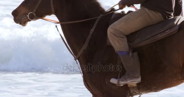 Uomo a cavallo sulla spiaggia — Video Stock