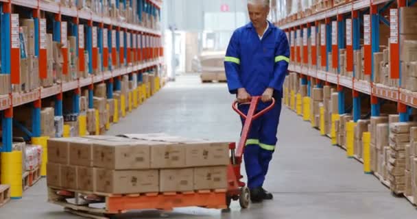 Magazijnmedewerker met behulp van pallettruck — Stockvideo