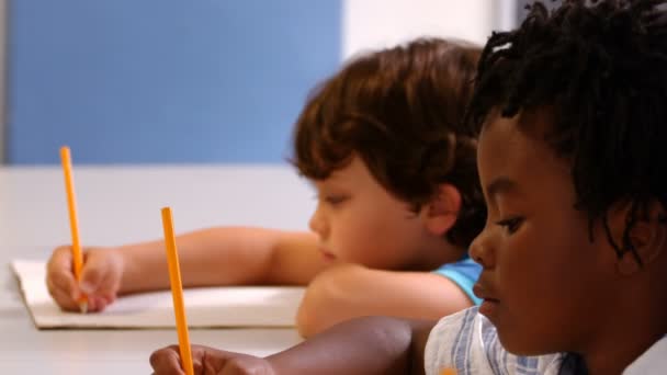 Kinderen die studeren in een klaslokaal — Stockvideo