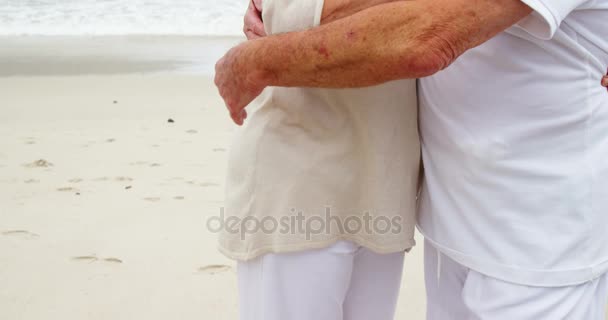 Senior paar omhelzen elkaar op strand — Stockvideo