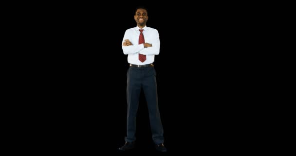 Businessman standing with arms crossed — Stock Video