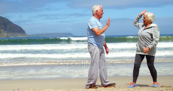 Senior paar geven hoge vijf op strand — Stockvideo